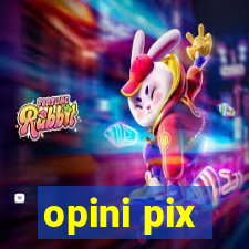 opini pix